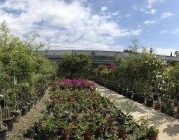 Floryplant – Paisajismo & Jardinería