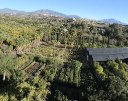 Floryplant - Paisajismo & Jardinería
